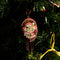 Emmy Beaded Decoration by Sage & Clare. Australian Art Prints, Gifts, Fashion and Homewares. Green Door Decor. www.greendoordecor.com.au