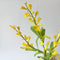 Paper Flowers - Wattle Stem | Yellow
