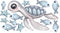 Fabric Wall Decals - Sea Creatures Turtle by Isla Dream. Australian Art Prints and Homewares. Green Door Decor. www.greendoordecor.com.au
