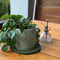 Felt Trivet Set | Forest by Home Dweller. Australian Art Prints, Gifts, Fashion and Homewares. Green Door Decor. www.greendoordecor.com.au