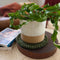 Felt Trivet Set | Forest by Home Dweller. Australian Art Prints, Gifts, Fashion and Homewares. Green Door Decor. www.greendoordecor.com.au