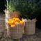Festonne Baskets (2 Sizes) by Florabelle and Perfect Pieces. Australian Art Prints, Gifts, Fashion and Homewares. Green Door Decor. www.greendoordecor.com.au