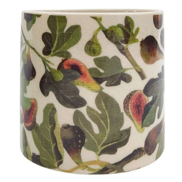 Fig Planter | Green by Urban Products. Australian Art Prints, Fashion and Homewares. Green Door Decor. www.greendoordecor.com.au
