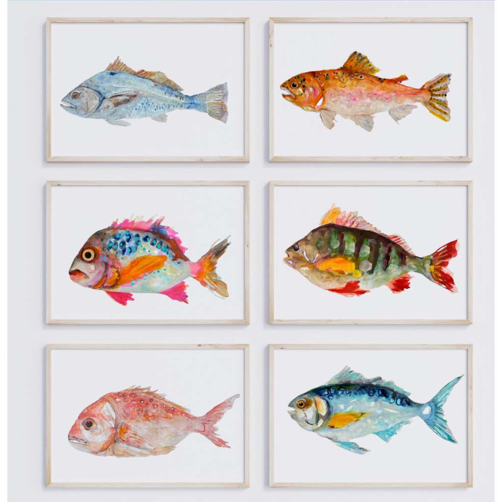 Fish of the Day 6 Pack by Grotti Lotti. Australian Art Prints, Fashion and Homewares. Green Door Decor. www.greendoordecor.com.au