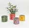 Florence Planter | Green 14cm by Urban Products. Australian Art Prints and Homewares. Green Door Decor. www.greendoordecor.com.au