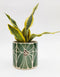 Florence Planter | Green 14cm by Urban Products. Australian Art Prints and Homewares. Green Door Decor. www.greendoordecor.com.au