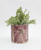 Florence Planter | Purple 12cm by Urban Products. Australian Art Prints and Homewares. Green Door Decor. www.greendoordecor.com.au