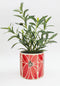 Florence Planter Pot - Red 17cm by Urban Products. Australian Art Prints and Homewares. Green Door Decor. www.greendoordecor.com.au