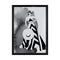 Francesa - Black Stripe print by Susan Kerian. Australian Art Prints and Homewares. Green Door Decor. www.greendoordecor.com.au