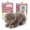 Freddy the British Shorthair (in giftbox) by B.T Chaps. Australian Art Prints and Homewares. Green Door Decor. www.greendoordecor.com.au