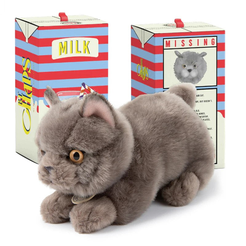 Freddy the British Shorthair (in giftbox) by B.T Chaps. Australian Art Prints and Homewares. Green Door Decor. www.greendoordecor.com.au