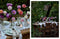 French Country Cottage Seasons Book by Courtney Allison. Australian Art Prints, Gifts, Fashion and Homewares. Green Door Decor. www.greendoordecor.com.au
