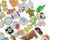 Fridge Friends Pets Magnets by Eleganter Australia. Australian Art Prints, Gifts, Fashion and Homewares. Green Door Decor. www.greendoordecor.com.au