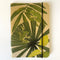 B6 Notebook | Daniella Germain | Froggy Foliage by Greenigo. Australian Art Prints and Homewares. Green Door Decor. www.greendoordecor.com.au