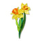 Garden Goddess Daffodil Brooch | Erstwilder. Australian Art Prints, Gifts, Fashion and Homewares. Green Door Decor. www.greendoordecor.com.au