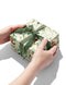 Gift Wrap Roll | Chipmunk by Bespoke Letterpress. Australian Art Prints and Homewares. Green Door Decor. www.greendoordecor.com.au