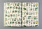 Gift & Creative Papers Book | Flora by Vevoke. Australian Art Prints and Homewares. Green Door Decor. www.greendoordecor.com.au