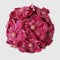 Glitter Hydrangea Bauble - Pink | Christmas Hanging Decorations by Florabelle. Australian Art Prints and Homewares. Green Door Decor. www.greendoordecor.com.au