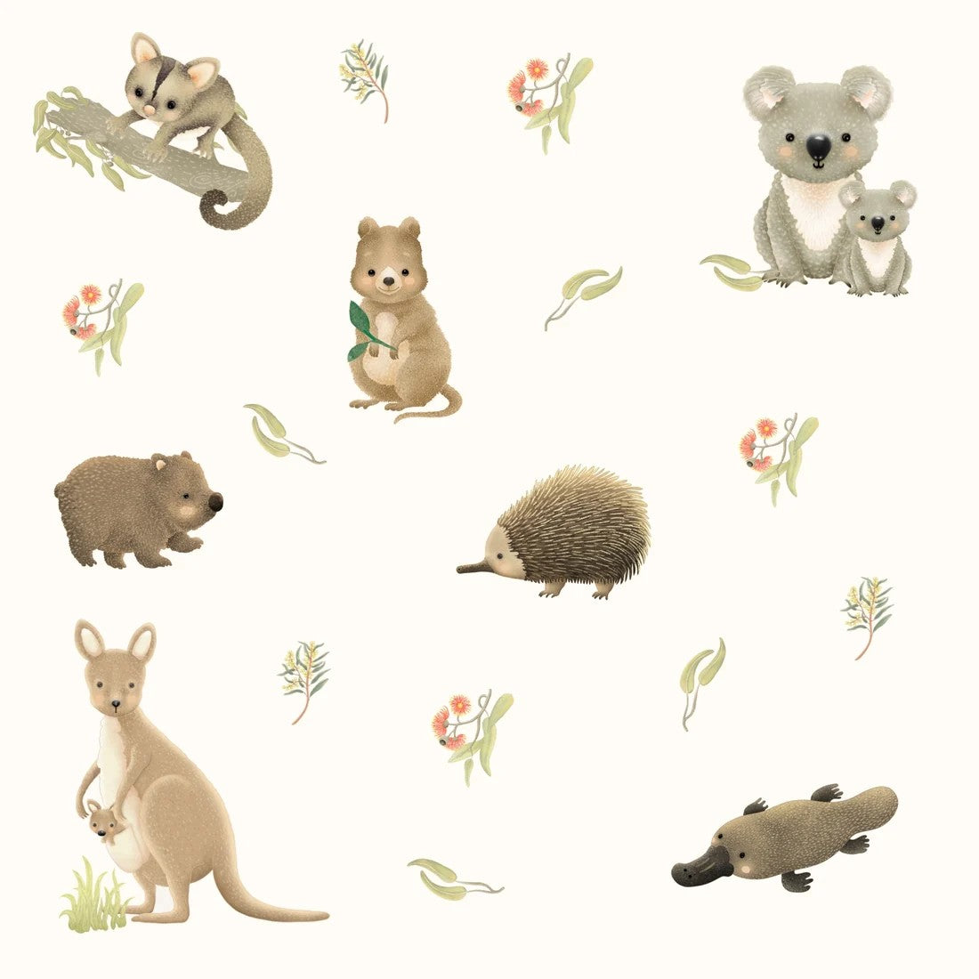 Aussie Animals | Greeting Card by Petite Vous. Australian Art Prints, Gifts, Fashion and Homewares. Green Door Decor. www.greendoordecor.com.au