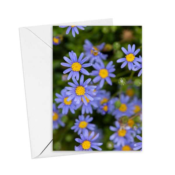 Kim Storey Greeting Card | Blue Daisies. Australian Art Prints and Homewares. Green Door Decor. www.greendoordecor.com.au