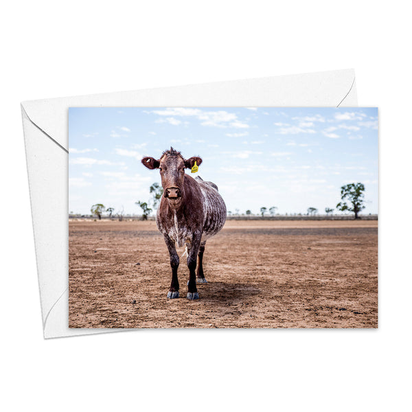 Kim Storey Greeting Card | Lone Heifer. Australian Art Prints and Homewares. Green Door Decor. www.greendoordecor.com.au