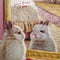 Greeting Card | Some Bunny Loves You by La La Land. Australian Art Prints and Homewares. Green Door Decor. www.greendoordecor.com.au
