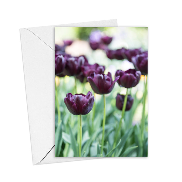 Kim Storey Greeting Card | Tulips. Australian Art Prints and Homewares. Green Door Decor. www.greendoordecor.com.au