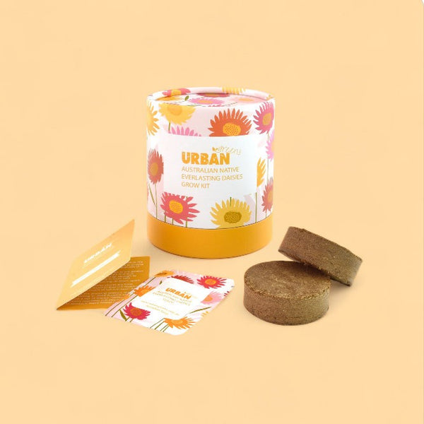 Grow Kit | Everlasting Daisies by Urban Greens. Australian Art Prints and Homewares. Green Door Decor. www.greendoordecor.com.au