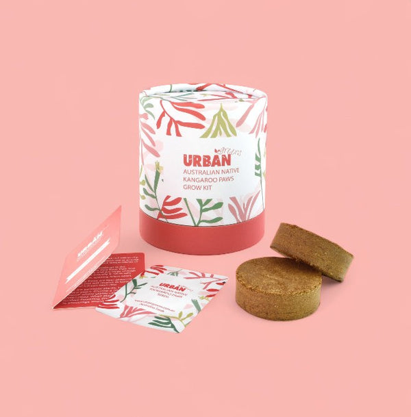 Grow Kit | Kangaroo Paws by Urban Greens. Australian Art Prints and Homewares. Green Door Decor. www.greendoordecor.com.au