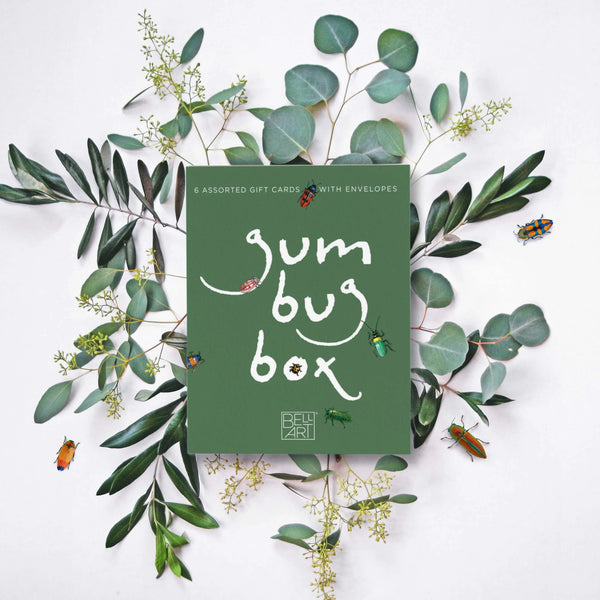 Gum Bug Boxed Florist Cards by Bell Art. Australian Art Prints and Homewares. Green Door Decor. www.greendoordecor.com.au