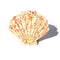 Hair Claw | Honey Terrazzo Shell by Kingston Jewellery. Australian Art Prints and Homewares. Green Door Decor. www.greendoordecor.com.au
