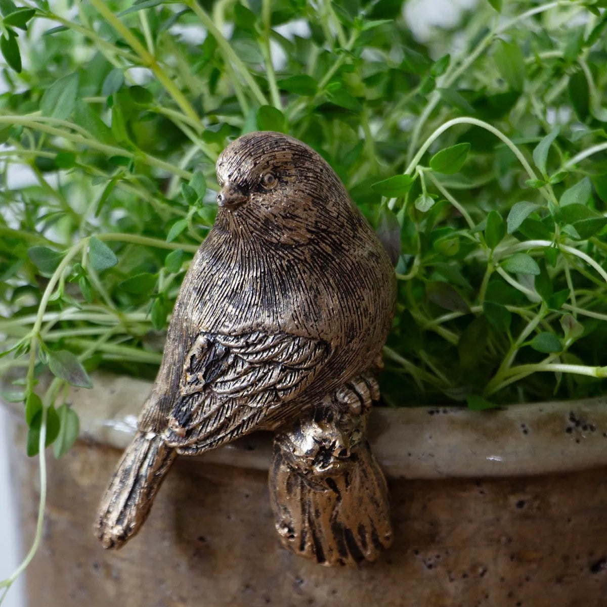 Resin Hanging Bird Decor | Gold by French Country Collections. Australian Art Prints and Homewares. Green Door Decor. www.greendoordecor.com.au