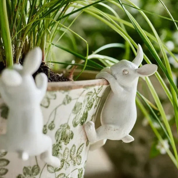Hanging Bunny White by French Country Collections. Australian Art Prints and Homewares. Green Door Decor. www.greendoordecor.com.au