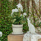 Harold the Hare Turning - Small | White by French Country Collections. Australian Art Prints, Fashion and Homewares. Green Door Decor. www.greendoordecor.com.au