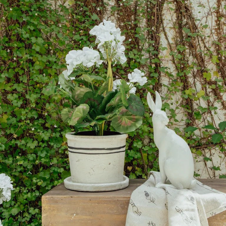 Harold the Hare Turning - Small | White by French Country Collections. Australian Art Prints, Fashion and Homewares. Green Door Decor. www.greendoordecor.com.au
