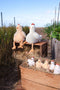 Harriet the Hen Rattle | Honey by Nana Huchy. Australian Art Prints, Fashion and Homewares. Green Door Decor. www.greendoordecor.com.au