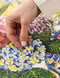 'Hydrangea Blue' 1000 Piece Puzzle by Bespoke Letterpress. Australian Art Prints and Homewares. Green Door Decor. www.greendoordecor.com.au