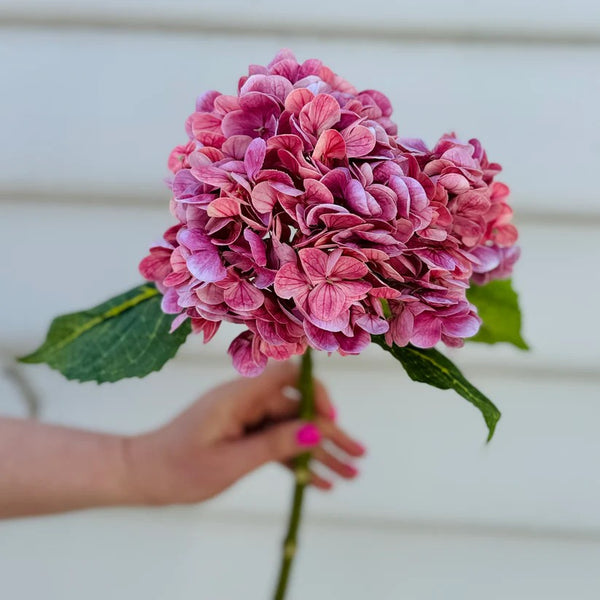 Faux Flower | Hydrangea Stem - Dusty Pink by Noss & Co. Australian Art Prints and Homewares. Green Door Decor. www.greendoordecor.com.au