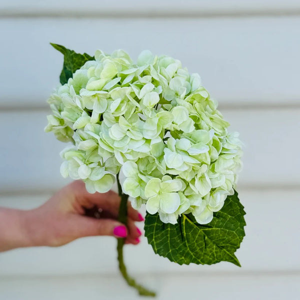 Faux Flower | Hydrangea Stem - Light Green by Noss & Co. Australian Art Prints and Homewares. Green Door Decor. www.greendoordecor.com.au