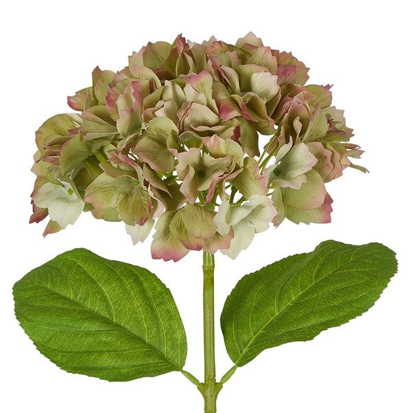 Faux Flower | Hydrangea Stem Soft Touch 50cm Green. Australian Art Prints and Homewares. Green Door Decor. www.greendoordecor.com.au