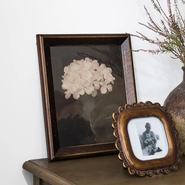 Hydrangea | Wall Art by French Country Collections. Australian Art Prints, Gifts, Fashion and Homewares. Green Door Decor. www.greendoordecor.com.au