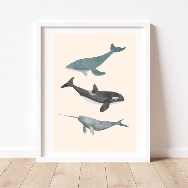 'Whale Trio' | Under the Sea Whales Wall Art Print by Cassie Zaccardo. Australian Art Prints and Homewares. Green Door Decor. www.greendoordecor.com.au