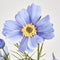 Faux Flower | Cosmos Spray Lavender 64cm by Florabelle. Australian Art Prints, Gifts, Fashion and Homewares. Green Door Decor. www.greendoordecor.com.au