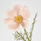 Faux Flower | Coco 3 Heads Cosmo 50cm Pink by Florabelle. Australian Art Prints, Gifts, Fashion and Homewares. Green Door Decor. www.greendoordecor.com.au