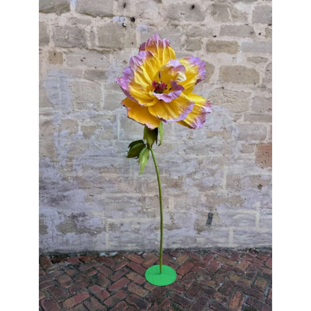 Handmade Paper Flower With Stand | Yellow with Lilac tips by Nibbanah. Australian Art Prints and Homewares. Green Door Decor. www.greendoordecor.com.au