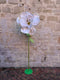 Handmade Paper Flower With Stand | White with Green tips by Nibbanah. Australian Art Prints and Homewares. Green Door Decor. www.greendoordecor.com.au
