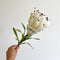 Australian Princess Protea Paper Flower | White. Australian Art Prints and Homewares. Green Door Decor. www.greendoordecor.com.au