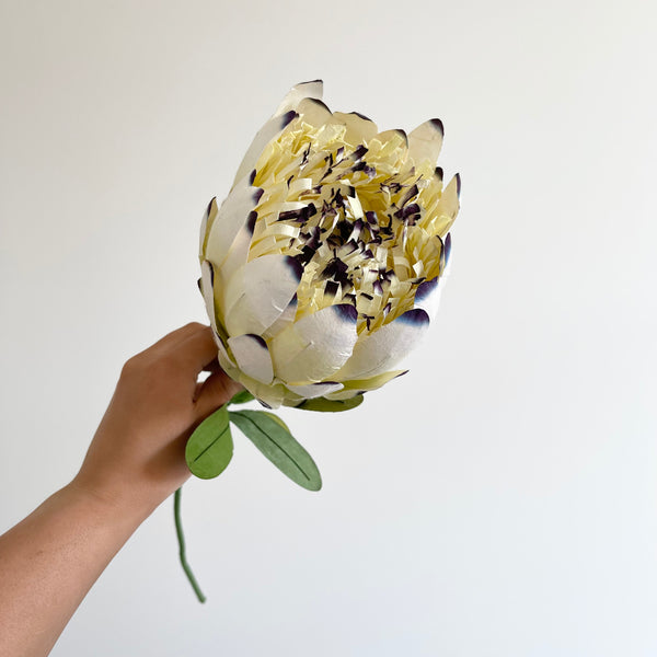 Australian Princess Protea Paper Flower | White. Australian Art Prints and Homewares. Green Door Decor. www.greendoordecor.com.au