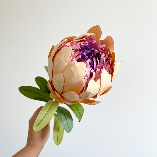 Australian Princess Protea Paper Flower | Peach. Australian Art Prints and Homewares. Green Door Decor. www.greendoordecor.com.au