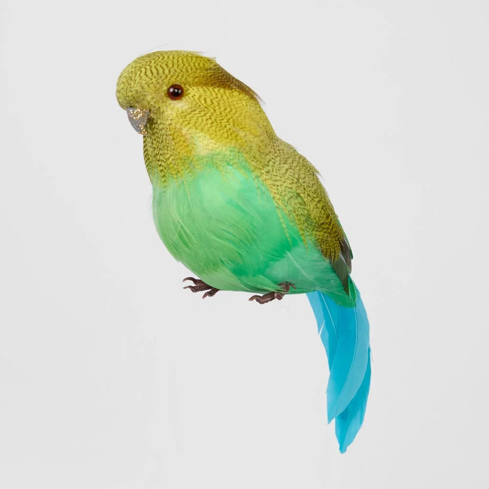 Glitter Beak Budgie - Green | Christmas Decorations by Florabelle Living. Australian Art Prints, Gifts, Fashion and Homewares. Green Door Decor. www.greendoordecor.com.au